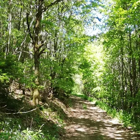 Eifel-ferienhaus Marga Tatil Evi