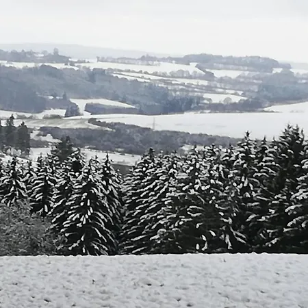 度假居 Eifel-ferienhaus Marga