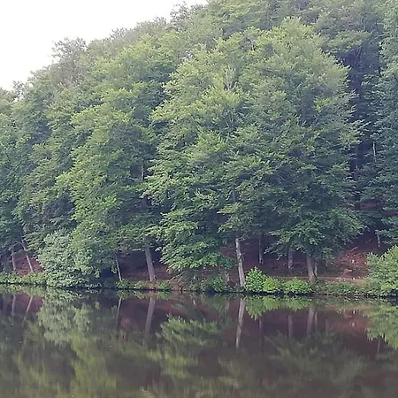 Tatil Evi Eifel-ferienhaus Marga *