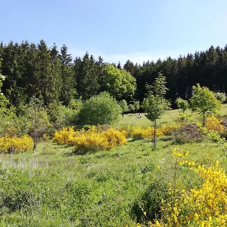 Eifel-ferienhaus Marga 普鲁姆