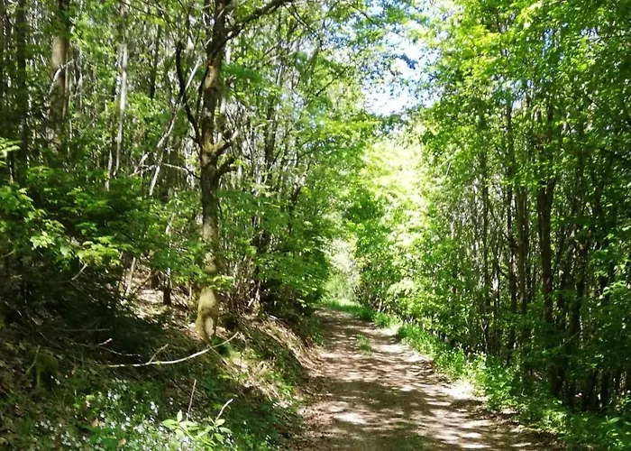 Eifel-ferienhaus Marga בית נופש