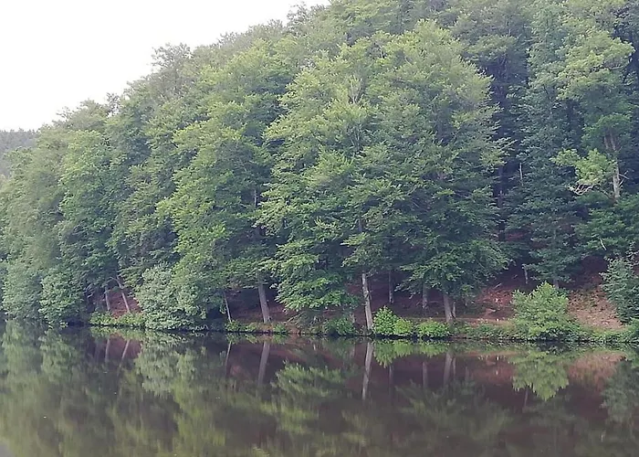 בית נופש Eifel-ferienhaus Marga *