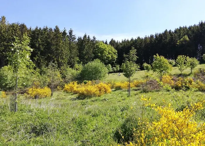 Eifel-ferienhaus Marga Prüm